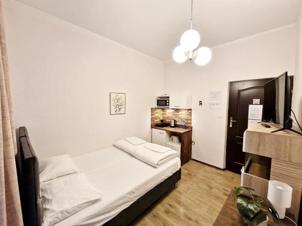 Hostel Helvetia - PRIVATE ROOMS in CITY CENTER and OLD TOWN : photo 2 de la chambre chambre double avec kitchenette et salle de bains privative
