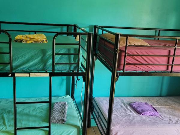 The Cozy Hostel - Motel : photo 2 de la chambre bed in 4-bed dormitory room (18 to 35yo)