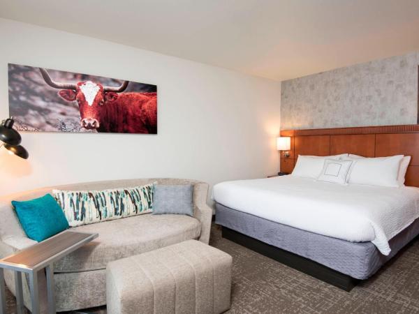 Courtyard by Marriott San Antonio North Stone Oak At Legacy : photo 1 de la chambre chambre lit king-size avec canapé-lit