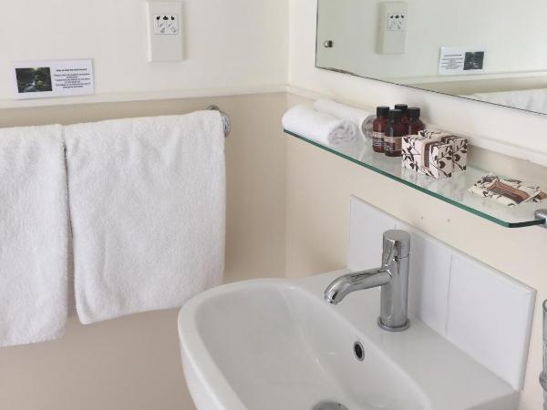 Parnell Pines Hotel : photo 4 de la chambre studio exécutif