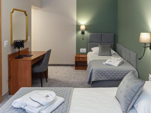 Zespół Dolina Białego - Pensjonat Biały Potok : photo 7 de la chambre appartement haut de gamme