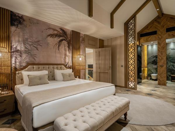 Papillon Ayscha Resort & Spa : photo 3 de la chambre villa avec piscine privée