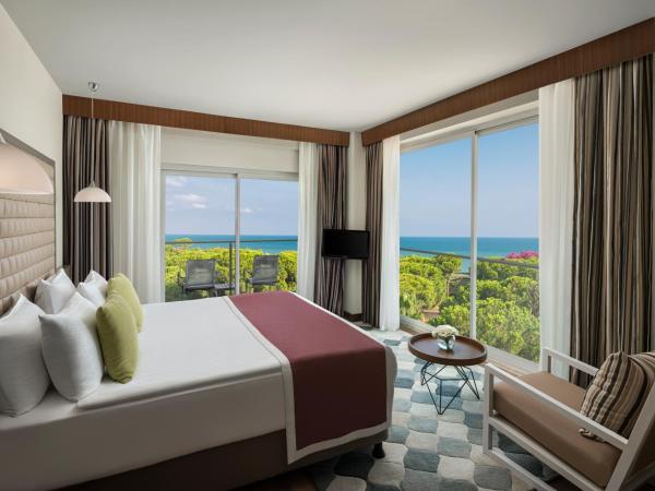 Papillon Ayscha Resort & Spa : photo 2 de la chambre chambre exécutive