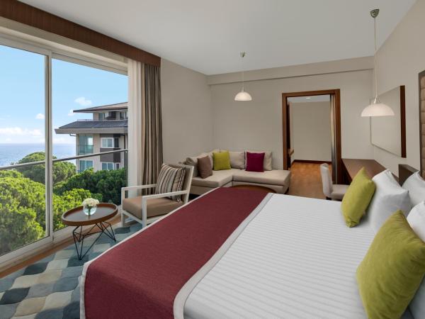 Papillon Ayscha Resort & Spa : photo 3 de la chambre chambre exécutive