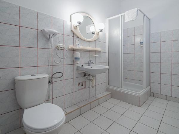 Zespół Dolina Białego - Pensjonat Biały Potok : photo 6 de la chambre studio