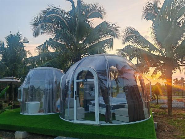 The Coco Journey - Eco Dome : photo 4 de la chambre tente