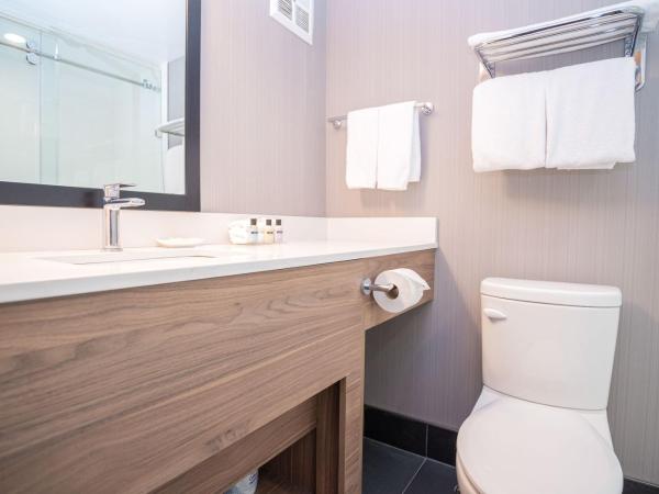 Sandman Hotel Edmonton West : photo 4 de la chambre chambre standard 2 lits queen-size