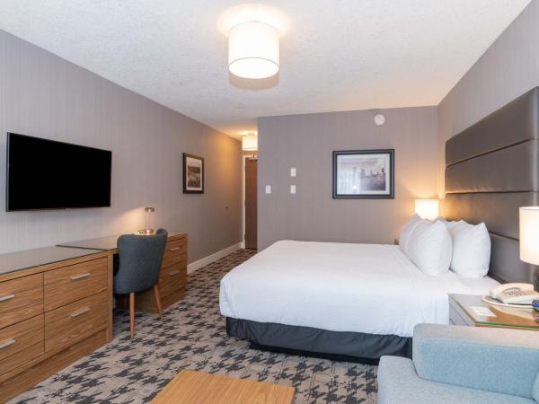 Sandman Hotel Edmonton West : photo 2 de la chambre chambre 1 lit king-size standard avec canapé-lit