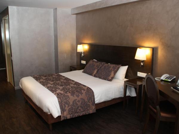 Hotel De Guise Nancy Vieille Ville : photo 4 de la chambre chambre double - accessible aux personnes à mobilité réduite 