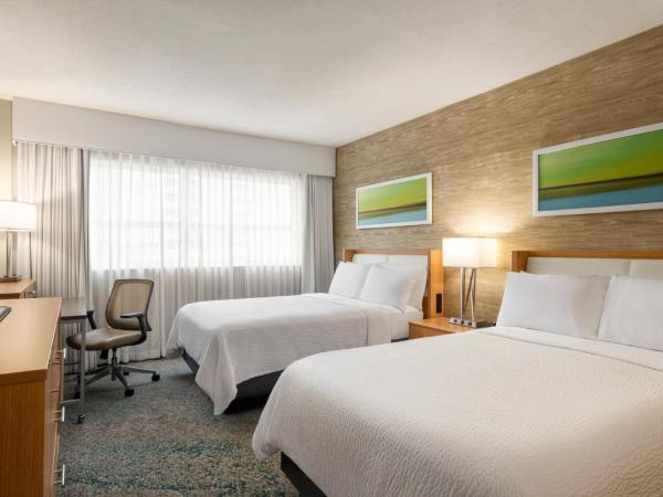 Holiday Inn Miami Beach-Oceanfront, an IHG Hotel : photo 10 de la chambre chambre avec 2 lits doubles bord de mer
