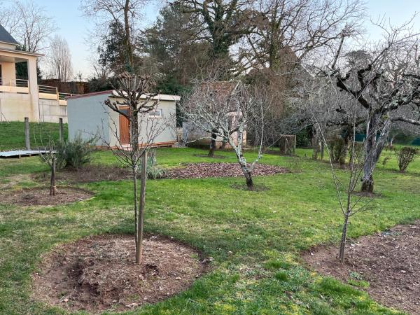 Studio neuf de 24m² : photo 3 de la chambre chambre double - vue sur jardin