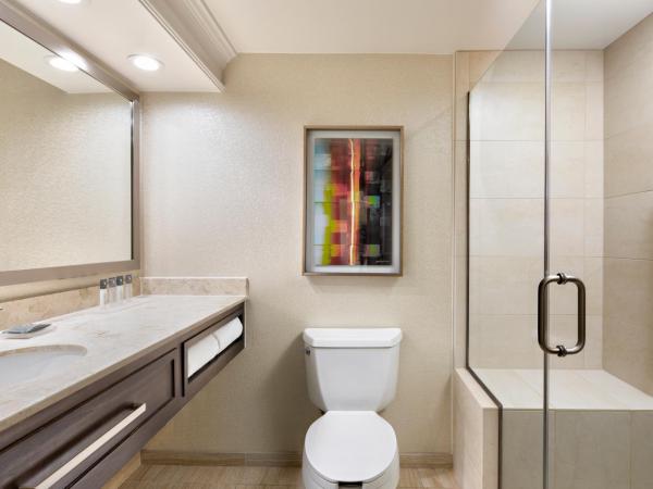 Gaylord Opryland Resort & Convention Center : photo 2 de la chambre chambre lit king-size - vue sur intérieur