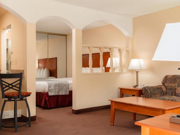 Mardi Gras Hotel & Casino : photo 1 de la chambre chambre lit queen-size standard - non-fumeurs