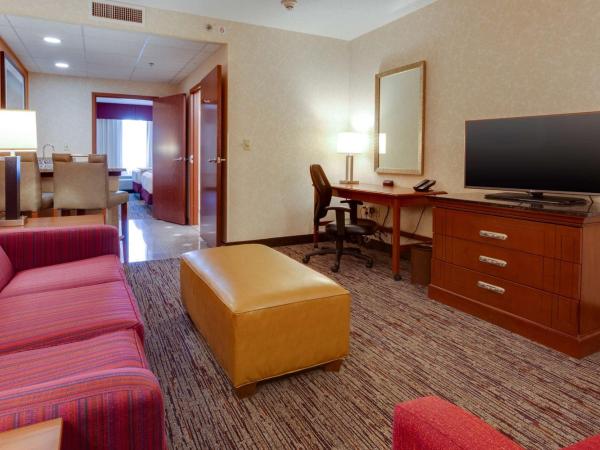 Drury Inn & Suites St. Louis Forest Park : photo 6 de la chambre suite lit king-size avec canapé-lit