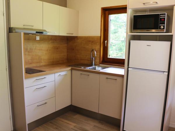 Azureva La Clusaz les Aravis : photo 4 de la chambre appartement en duplex