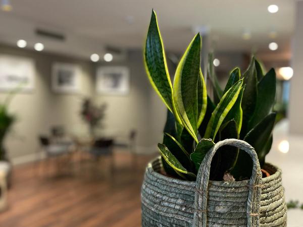 AZ Hotel San Valero : photo 1 de la chambre chambre triple