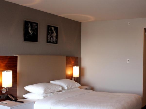 Bof Hotels Business : photo 4 de la chambre chambre deluxe