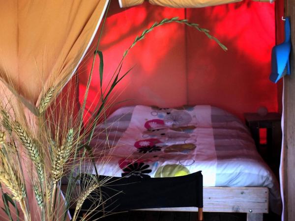 Les Ânes de Forcalquier : photo 5 de la chambre tente