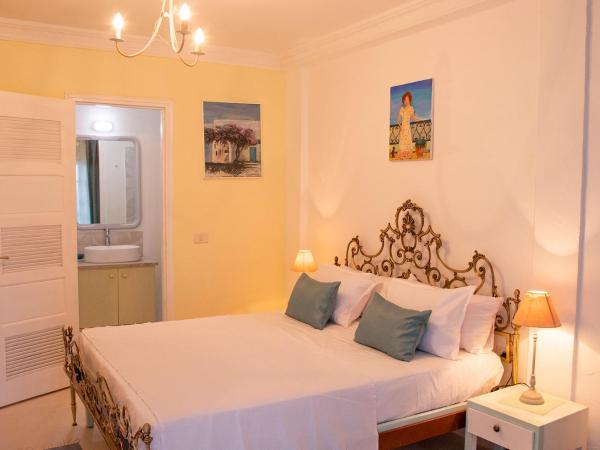 Dar Yessine Boutique Hôtel : photo 1 de la chambre chambre double avec patio