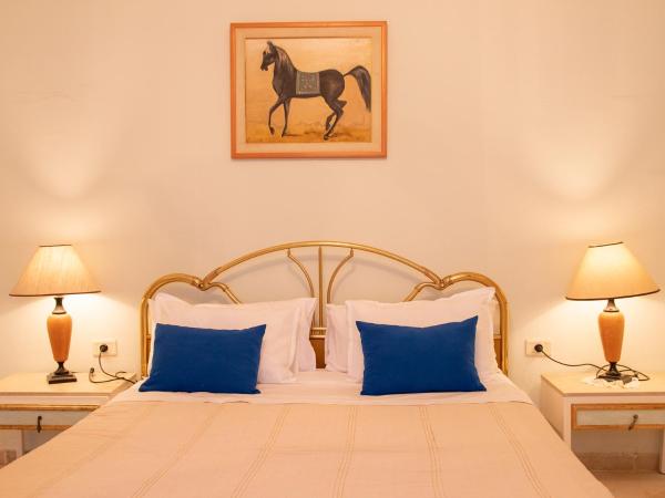 Dar Yessine Boutique Hôtel : photo 10 de la chambre chambre lit king-size supérieure