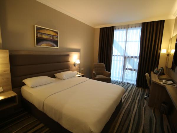 Hotel Excellence Inn : photo 1 de la chambre chambre double standard