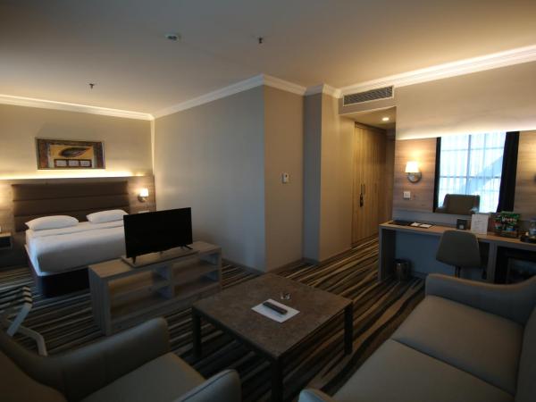 Hotel Excellence Inn : photo 2 de la chambre chambre deluxe