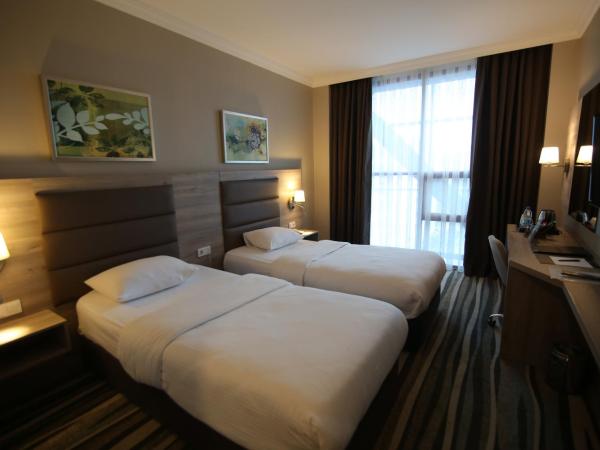 Hotel Excellence Inn : photo 1 de la chambre chambre lits jumeaux standard