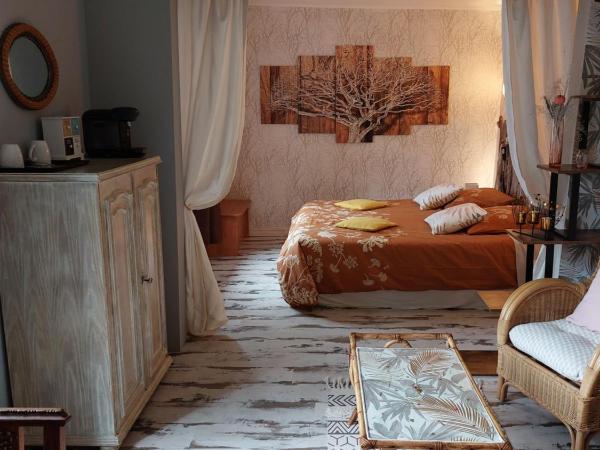 Chambres d'Hôtes de l'Ile du Saule : photo 4 de la chambre chambre lits jumeaux - vue sur jardin