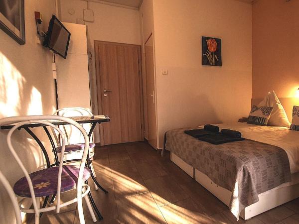 Aqua Ház Panzió 2 : photo 6 de la chambre studio avec terrasse