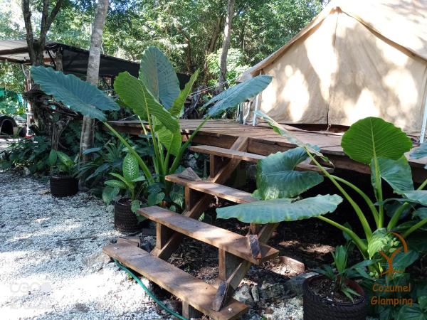Cozumel Glamping : photo 1 de la chambre tente