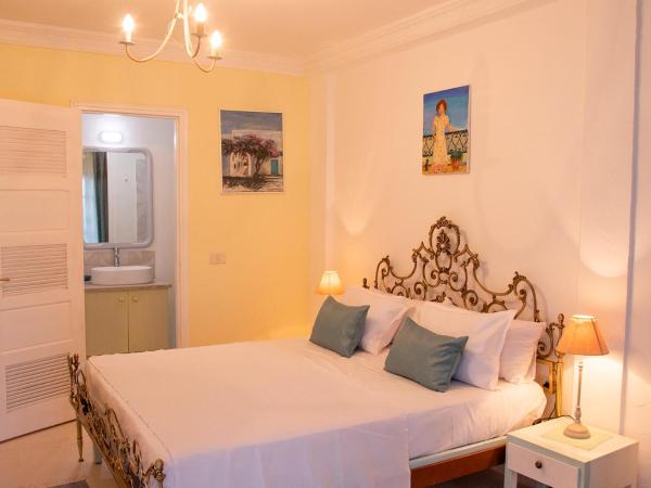 Dar Yessine Boutique Hôtel : photo 4 de la chambre chambre double avec patio