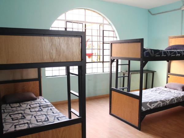 Hostal La Loteria : photo 8 de la chambre lit dans dortoir de 8 lits 