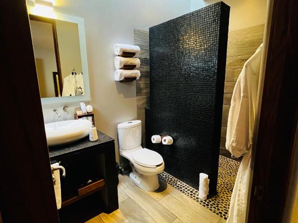 El Callejón Hotel Boutique : photo 2 de la chambre chambre lit king-size supérieure