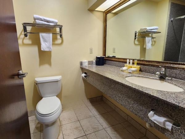 Days Inn & Suites by Wyndham Sam Houston Tollway : photo 7 de la chambre chambre lit king-size deluxe - non-fumeurs