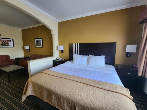 Days Inn & Suites by Wyndham Sam Houston Tollway : photo 2 de la chambre suite lit king-size – non-fumeurs