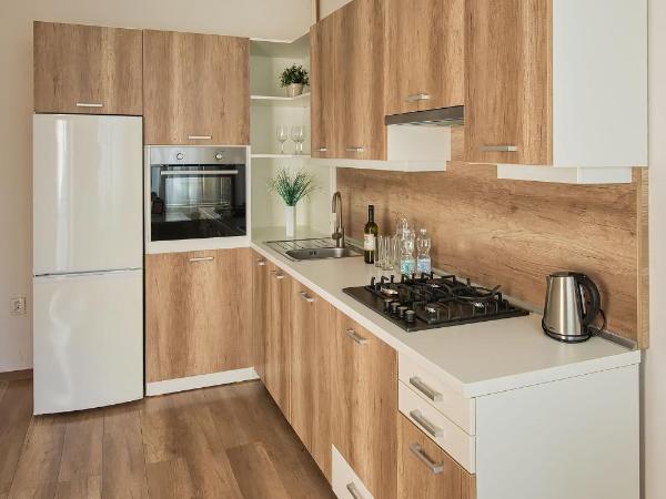 Stodolní Apartment : photo 4 de la chambre chambre quadruple avec salle de bains commune