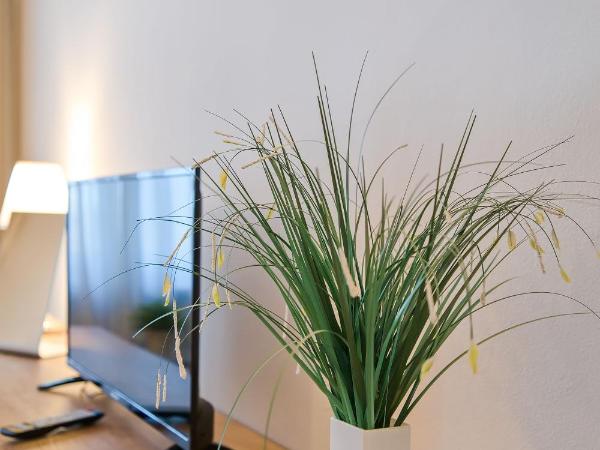 Stodolní Apartment : photo 4 de la chambre chambre double avec salle de bains commune