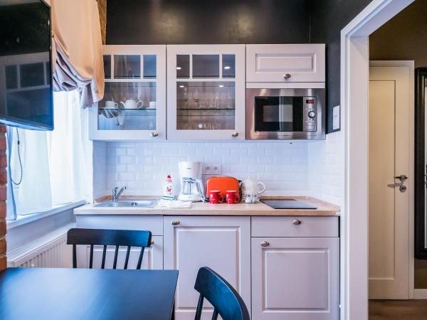 Revelton Studios Karlovy Vary : photo 4 de la chambre studio classique