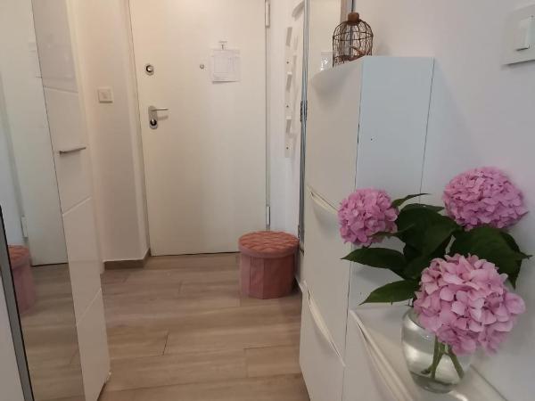 Apartment & Room Pajolo : photo 7 de la chambre studio avec terrasse et vue sur le jardin