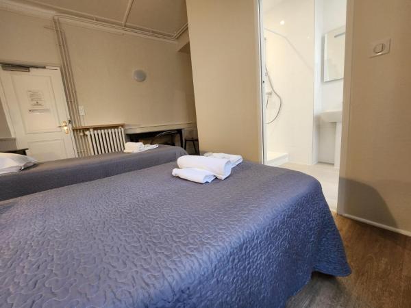 Hôtel Patricia - Strasbourg Hyper Centre : photo 6 de la chambre chambre lits jumeaux