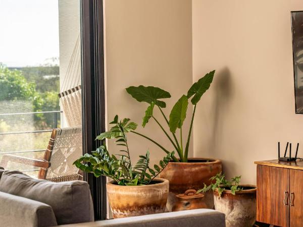 La Barra Resorts Puerto Escondido : photo 9 de la chambre appartement supérieur