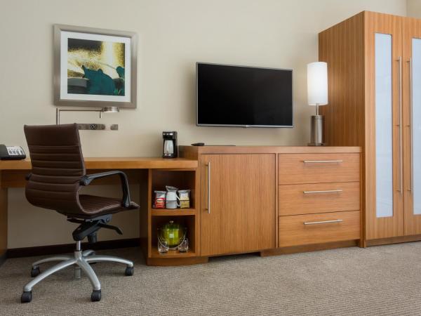 Hyatt Place Chicago/Downtown - The Loop : photo 7 de la chambre chambre lit king-size avec canapé-lit et vue