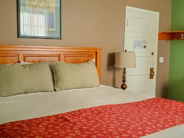 James Bay Inn Hotel, Suites & Cottage : photo 3 de la chambre chambre lit king-size standard