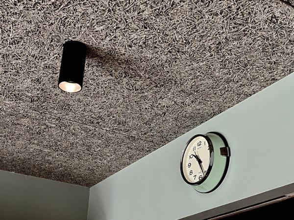 Sumida Nagaya : photo 1 de la chambre chambre simple standard