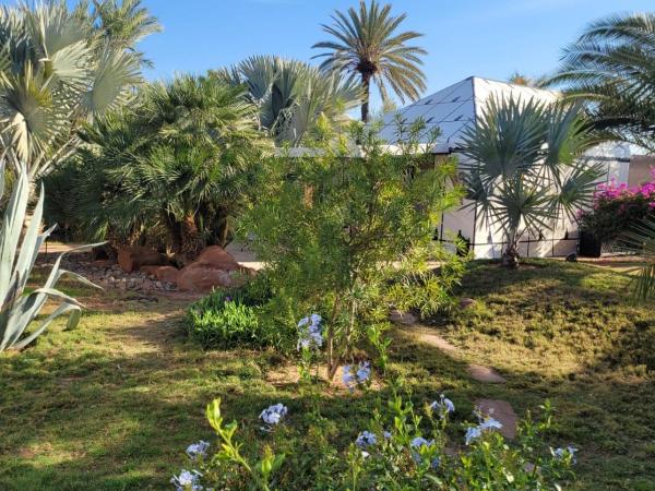 Eden Lodges & SPA : photo 2 de la chambre suite supérieure