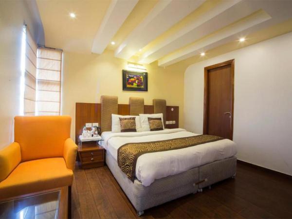 Hotel Palm Do'r Near New Delhi Railway Station : photo 6 de la chambre chambre double ou lits jumeaux exécutive