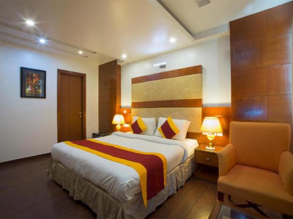 Hotel Palm Do'r Near New Delhi Railway Station : photo 8 de la chambre deluxe room with local delhi sightseeing package (3-4 location included with private sedan car)
