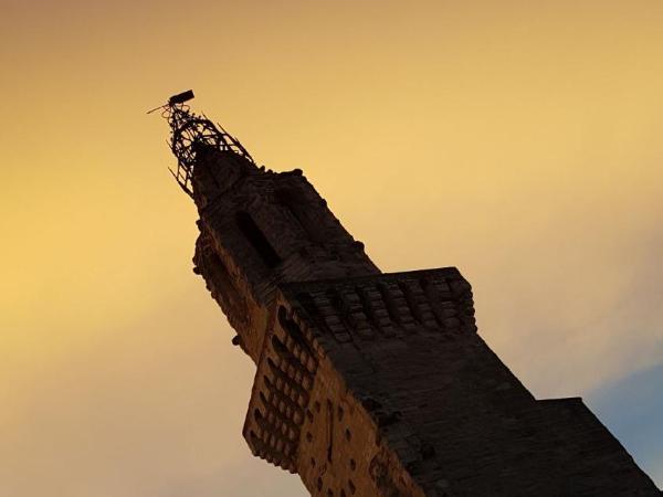 Aux Augustins Palais des Papes & Wellness : photo 9 de la chambre la luther