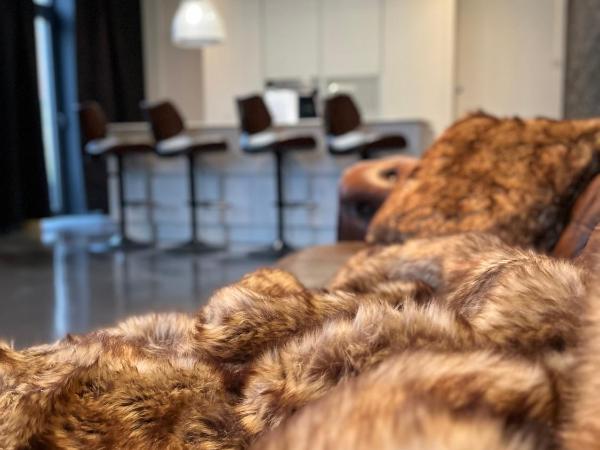 White Castle - Charleroi Airport : photo 9 de la chambre appartement supérieur