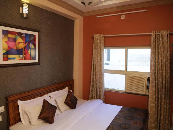 Hotel Meenakshi Udaipur - Family Preffered Hotel : photo 2 de la chambre chambre double standard avec ventilateur